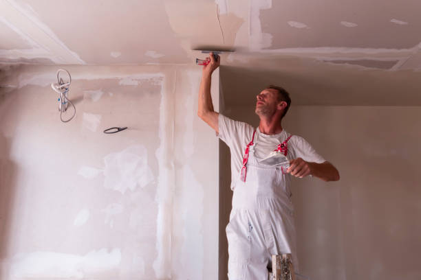 Best Ceiling Drywall Installation  in Brookhaven, MS